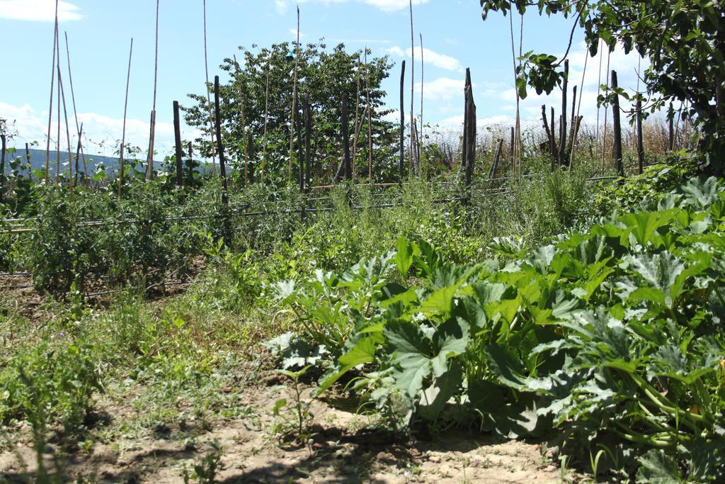 Tenuta La Santissima San Rocco a Pilli Buitenkant foto